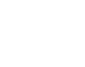 Flip.to Logo