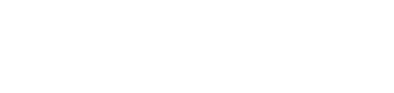 Navis Logo