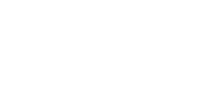 Elavon