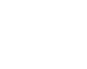 FlipTo